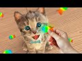 Play Fun Cute Kitten Pet Care Learning - Little Kitten Preschool Adventure Educational Games iOS Kid