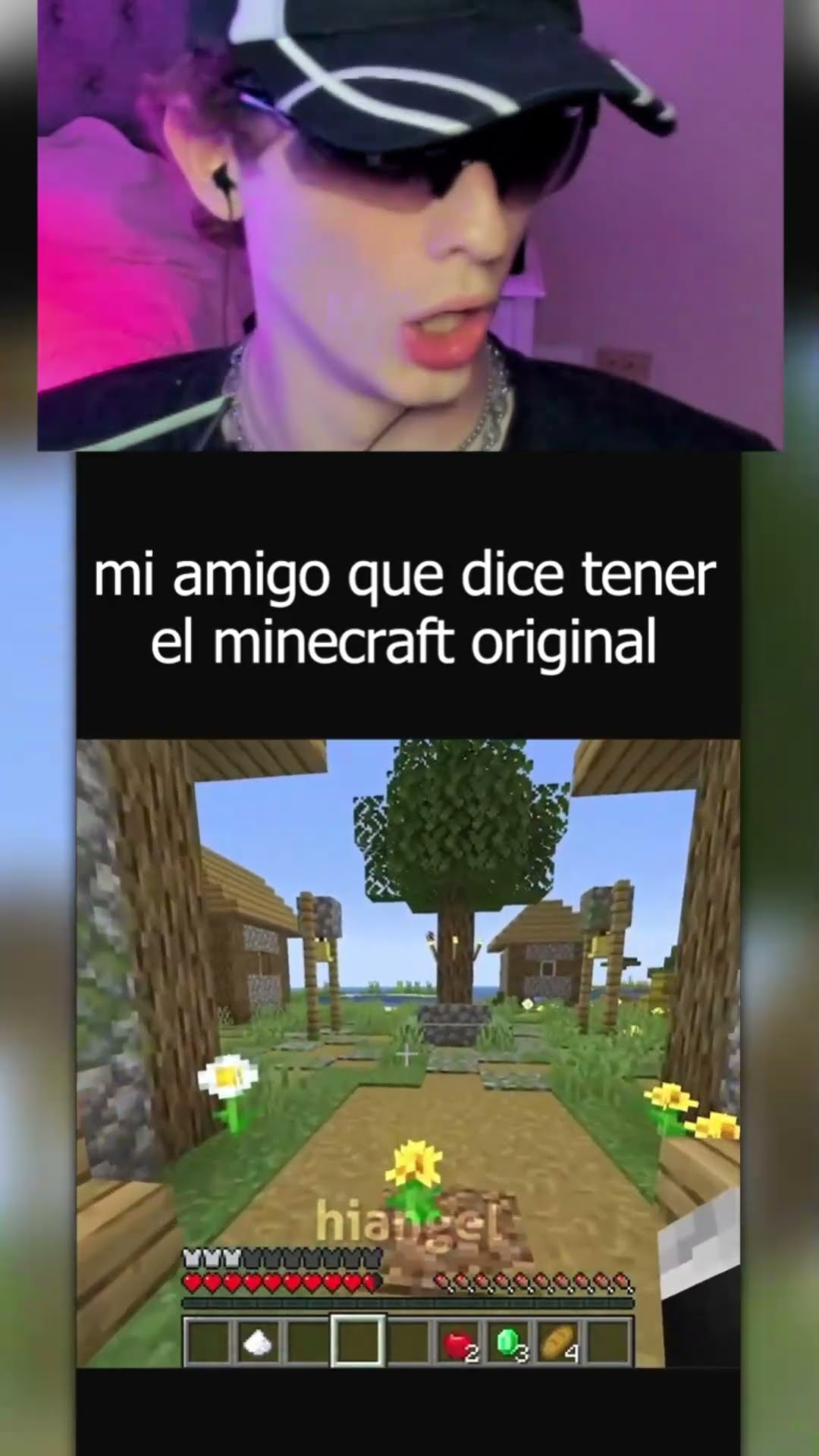 El GATO TRAIDER?
