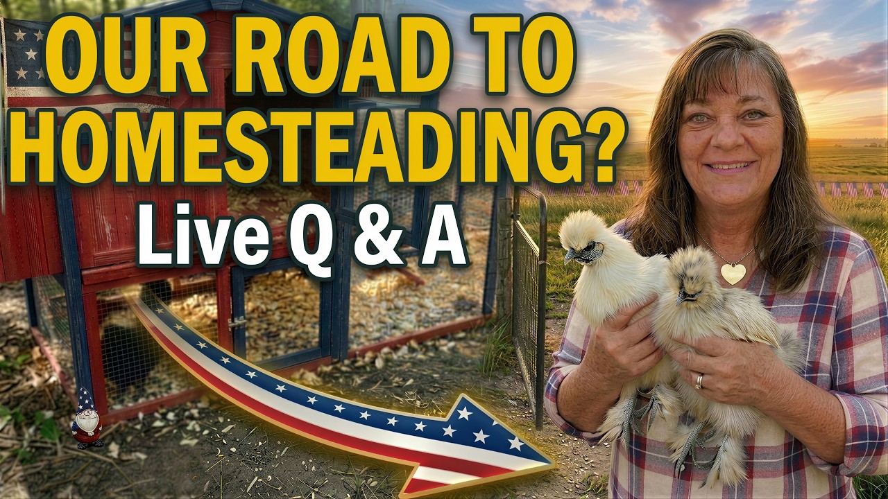 LIVE Q&A: Our Road to Real Independence