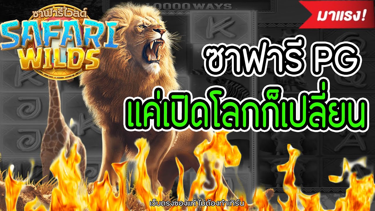 Safari Wilds สล็อตpg สล็อตซาฟารี | เเค่เปิดโลกก็ก็เปลี่ยน !