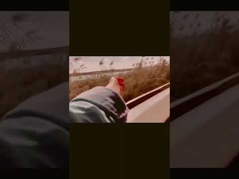 عصر المعجزات نوال الزغبي 