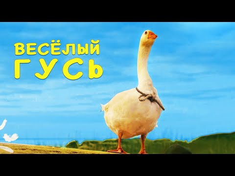 Веселый Гусь - Наталия Лансере - Детская Добрая Песенка