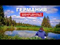 Самый красивый лес в ГЕРМАНИИ - ШВАРЦВАЛЬД. Поход по ЧЕРНОМУ ЛЕСУ / Кругосветка