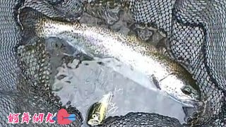 渓流ルアー釣り♥ トラウト トップウォーター♥スプリングクリーク禁漁前ラスト釣行