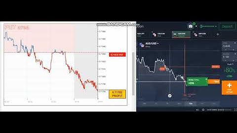 Binary options iq option signal, Binary options trading