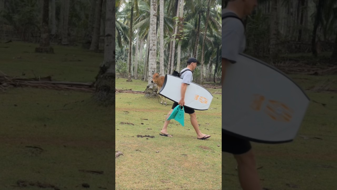 Moments from Sumatra! #bodyboarding #iaincampbell