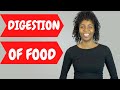 DIGESTION and ABSORPTION of food in the body explained