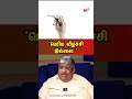&quot;பெரிய வீழ்ச்சி இல்லை &quot;