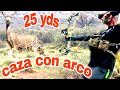 Caza con arco  flexib 25 YARDAS‼️el fantasmas del decierto🔴primeros pasos🔴