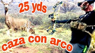 Caza con arco  flexib 25 YARDAS‼️el fantasmas del decierto🔴primeros pasos🔴