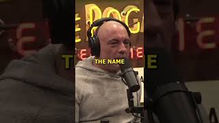 The Shocking Truth Behind Joe Rogan's Massive OnlyFans Earnings