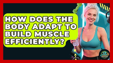 How Does The Body Adapt To Build Muscle Efficiently? - High Energy Training Hub