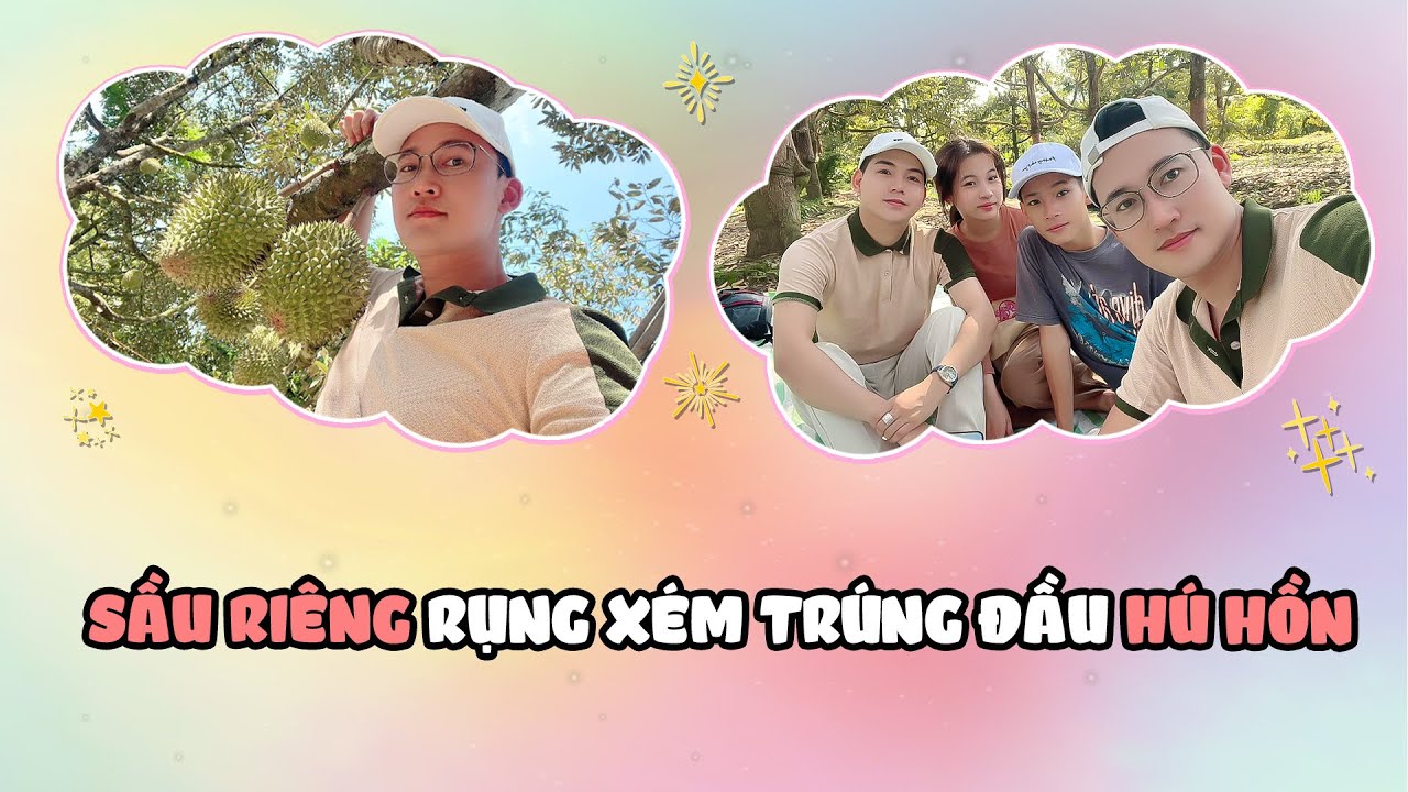 Sầu riêng rụng xém trúng Thanh Đoàn - Hà Trí Quang. Hú hồn chim én