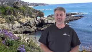 Dana Point Carpet Patch