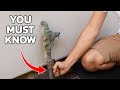 3 Things Every Homeowner MUST Know