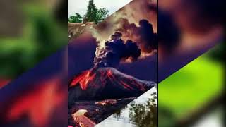 الفنان بسام _البيطار طير البياديري_#شاهد