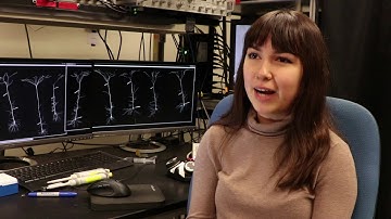 BCS Research Bytes: Marissa Hansen, Harnett Lab