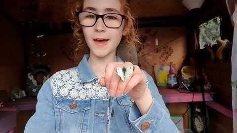 Video Diary Day 4  - Female Orange Tip Butterfly & Frog Spawn