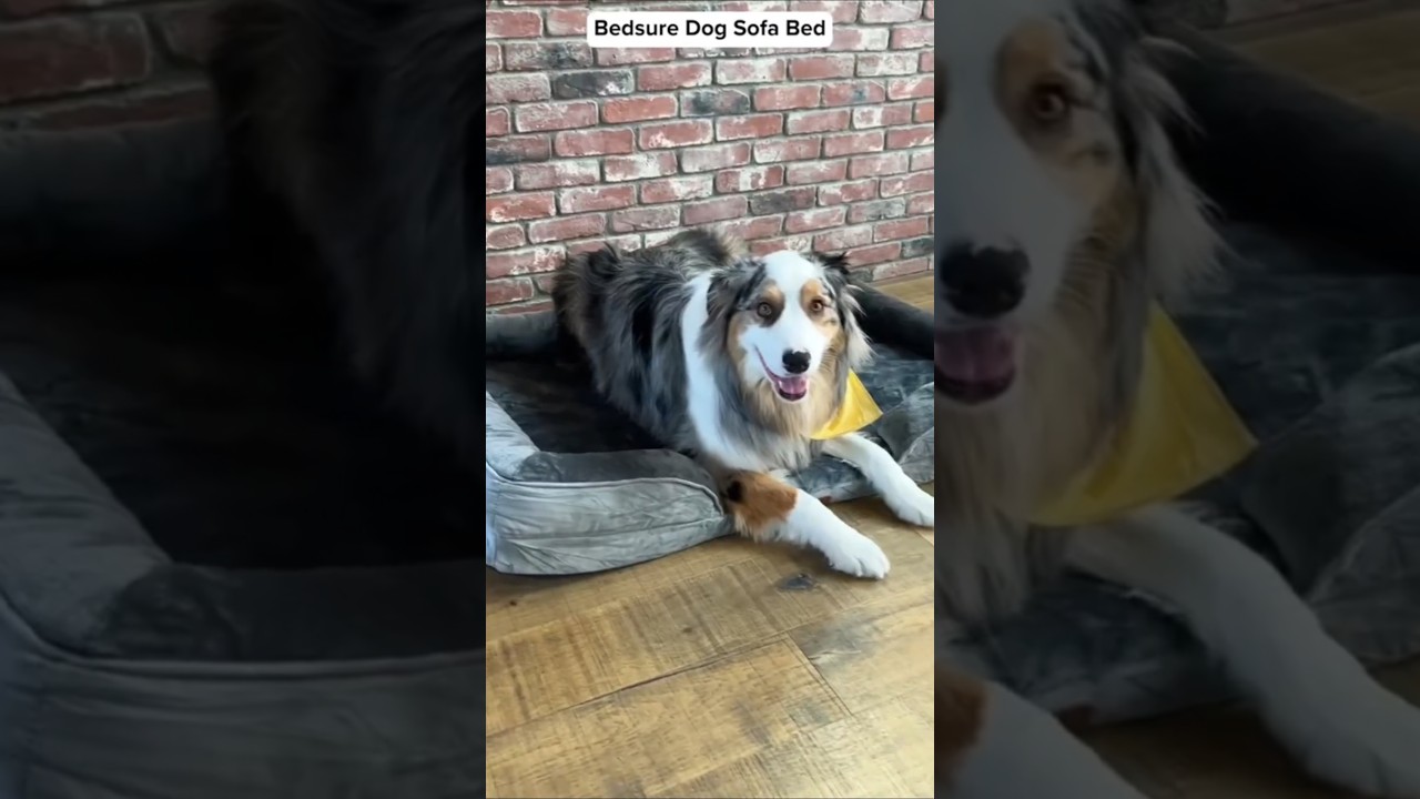 Bedsure Waterproof Dog Blanket for Extra Large Dogs – Soft Reversible Fleece Furniture Protector