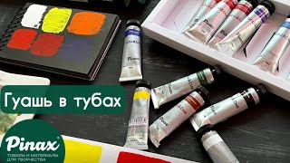 🔥Обзор на ГУАШЬ от Pinax: обзор, сравнение