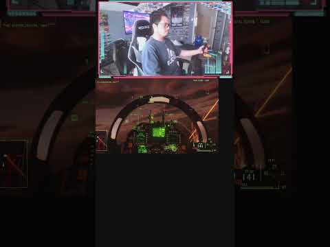 Project Wingman Stream