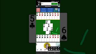 Mastering Expert-Level Problem Solving in Contract Bridge: A Deep Dive