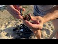 4K Treasure Hunter Beach Cleanup: Found Jewelry &amp; Perfume!