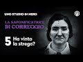 La Saponificatrice di Correggio 5 - Ha vinto la strega?