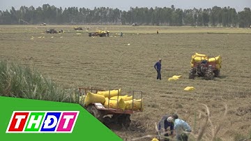 Ứng dụng khoa học kỹ thuật vào nông nghiệp cần đồng bộ | THDT