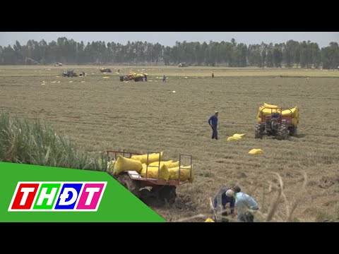 Video: Bộ Nông Nghiệp Kuban Sẽ Tiếp Tục Thực Hiện Chương Trình Thay Thế Nhập Khẩu Và Giúp đỡ Nông Dân Krasnodar