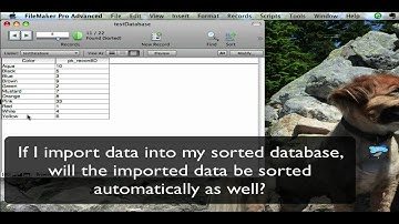 FileMaker 10 Dynamic Sorting And Imported Data