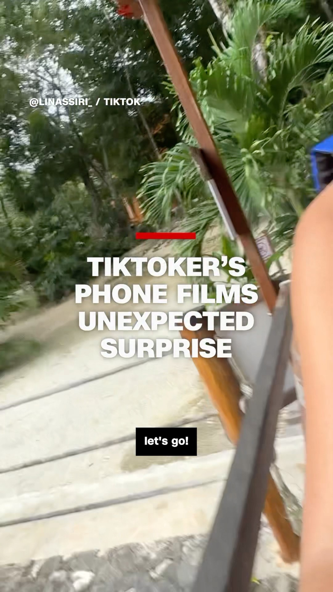TikToker’s phone films unexpected surprise