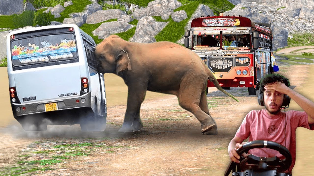 අලි බලන්න ගිහින් උන වැඩේ 😫| ets 2 multiplayer convoy