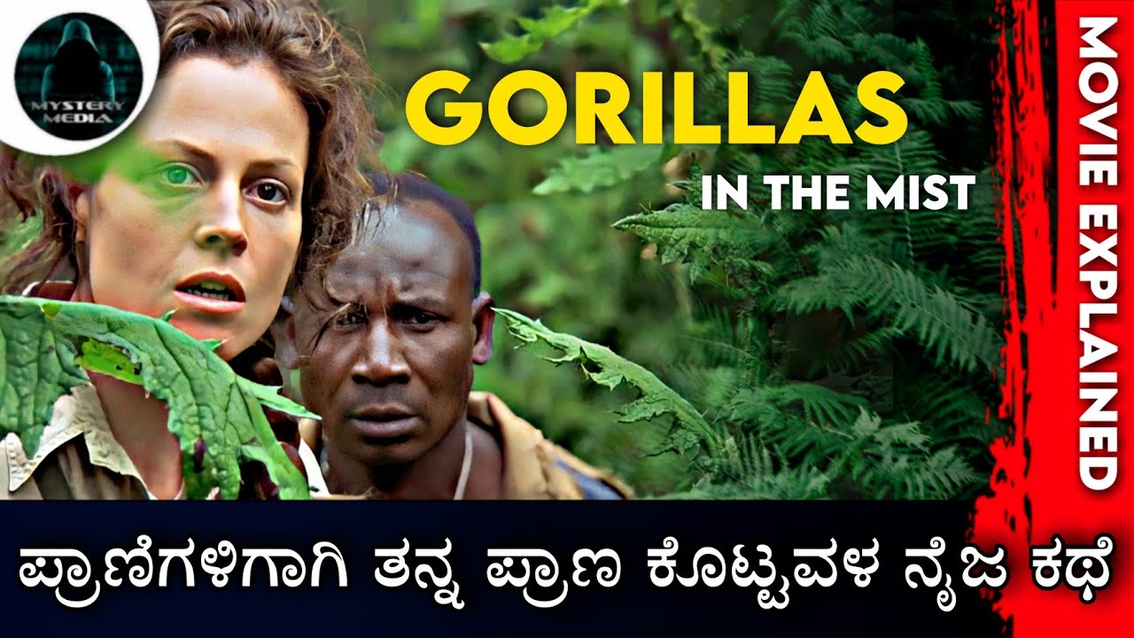 Gorillas in the Mist (1988) True Story Movie Explained in Kannada ...