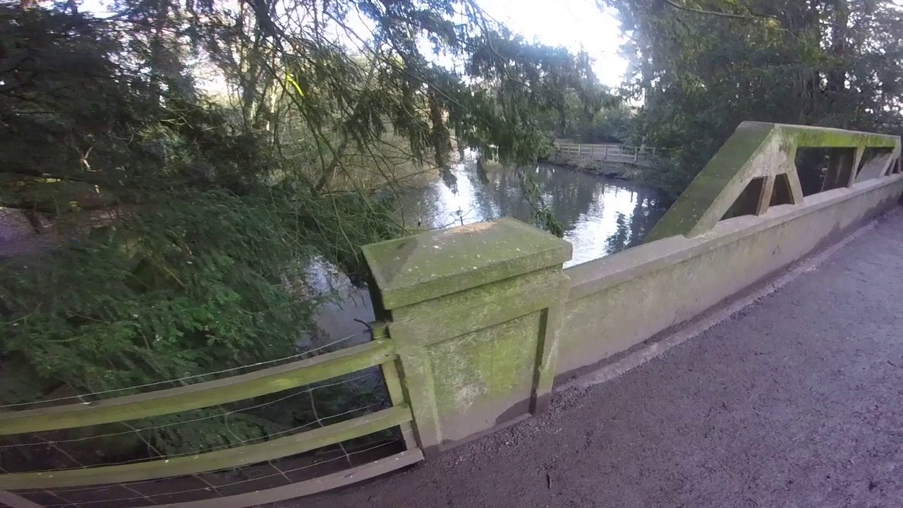 Catapult hunting YouTube