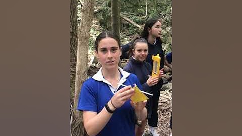 Measuring the Angles and height of the Trees on The Transect Line