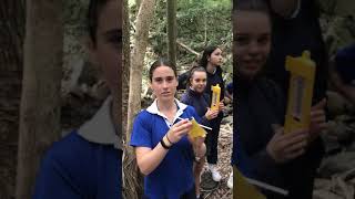 Measuring the Angles and height of the Trees on The Transect Line