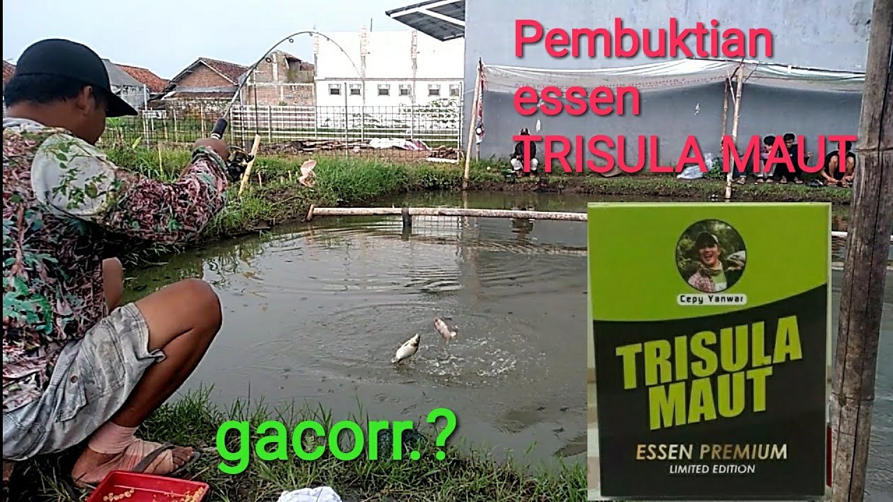 TES ESSEN TRISULA MAUT