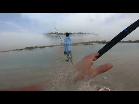 A DAY IN MY LIFE @Bangus@fishing