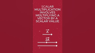 01 (e). Multiplication of Vectors - By Scalar Quantity - Vectors - Physics 101