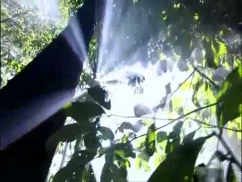 اجمل صوت قران فى الدنيا مؤثر جدا محمد دسوقي 