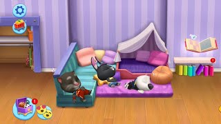 Day 3: Found a Black Cat 🐈 | My talking tom friends gameplay screenshot 3