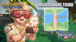 Ragnarok New World: هل تواجه صعوبة في العثور على Miya؟ شاهد هذا الفيديو. #ragnarok #ROW #الإطلاق_... screenshot 5