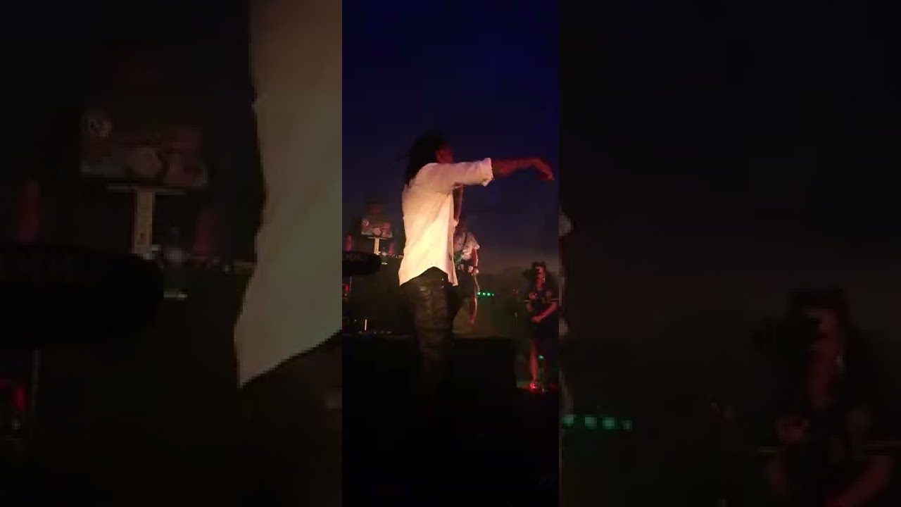 wiz khalifa - bad hoe (bad bitches)live in concert