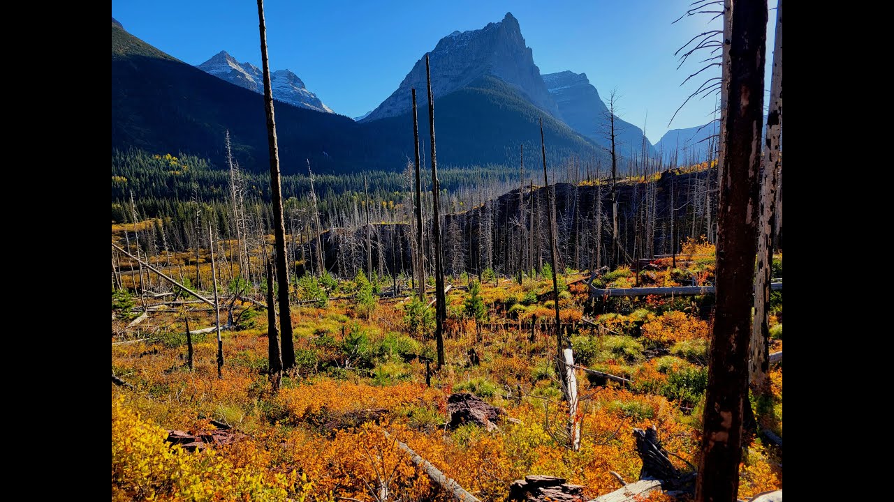 День 12  Siyeh Pass Glacier