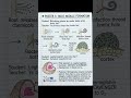 Nitrogen /Biological Nitrogen fixation kya hota h/short notes on nitrogen fixation#nitrogenfixation