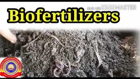 KRSMA#Standard 7 Basic Science Part 8 Chapter 1 Reaping Gold From Soil.