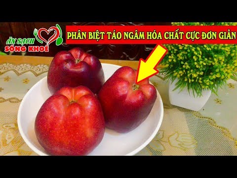 Video: Làm Thế Nào Các Bản Ghi được Ngâm Tẩm