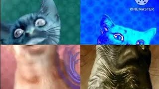[REUPLOAD] Preview 2 Numa Cat Effects Combined ^2
