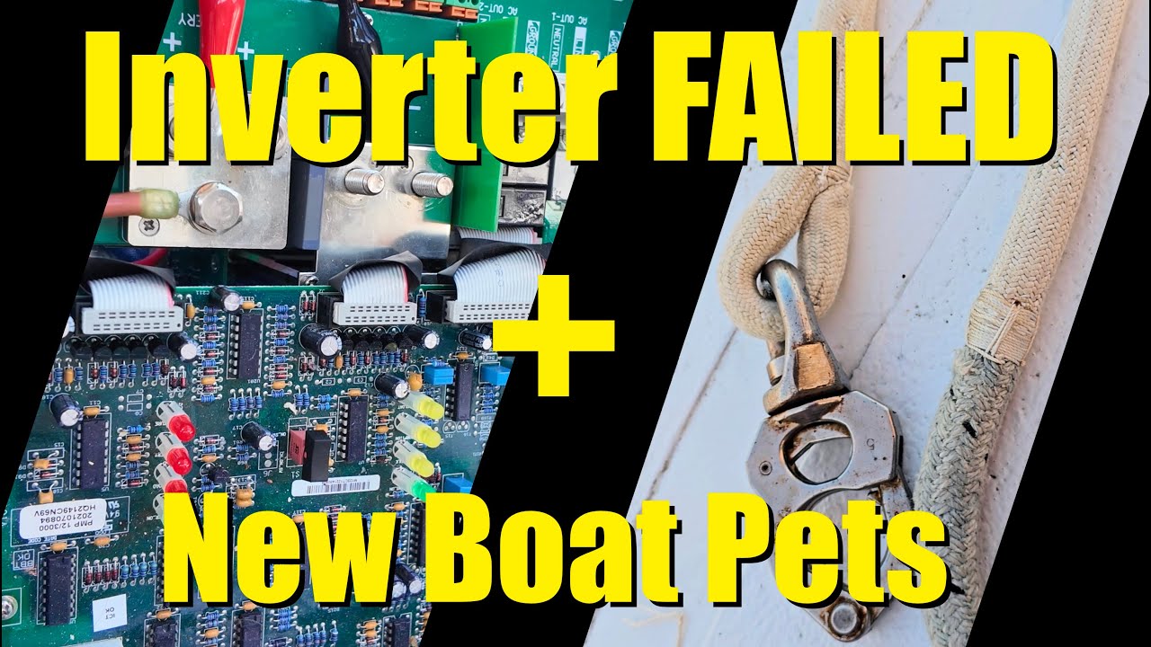 ⁣Inverter Repair, Halyard Splicing & Our New Pet Lettuce :) | Chasing Serenity Episode 22